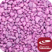 7108SSR - Urchin Pink Gravel